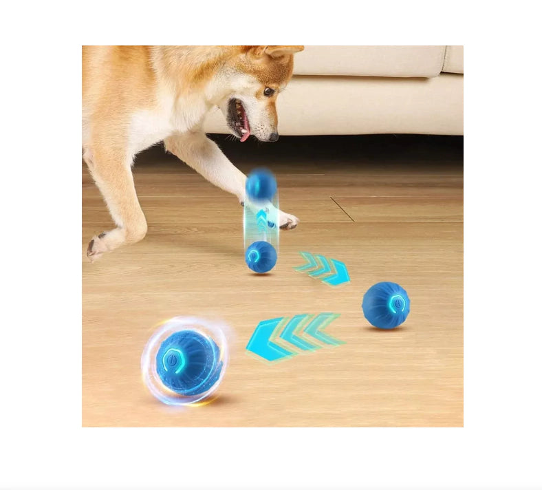 Perro persiguiendo la pelota interactiva