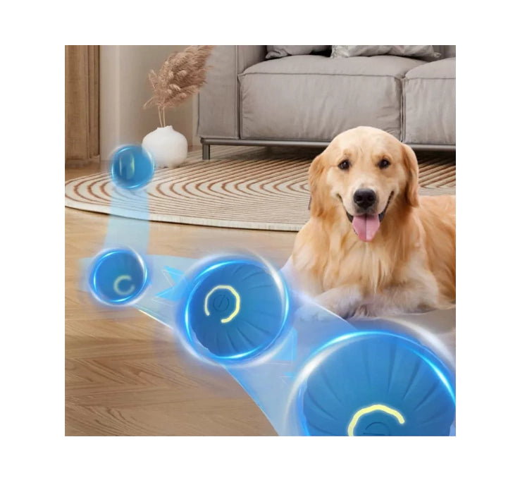 Pelota interactiva en movimiento con un perro