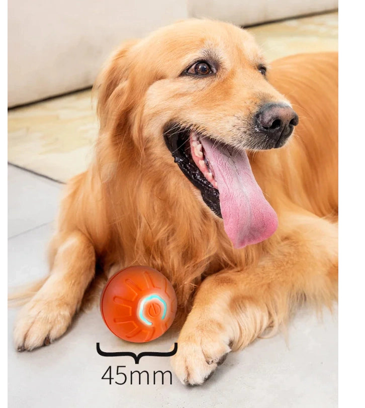 Pelota interactiva de 45 mm junto a un perro