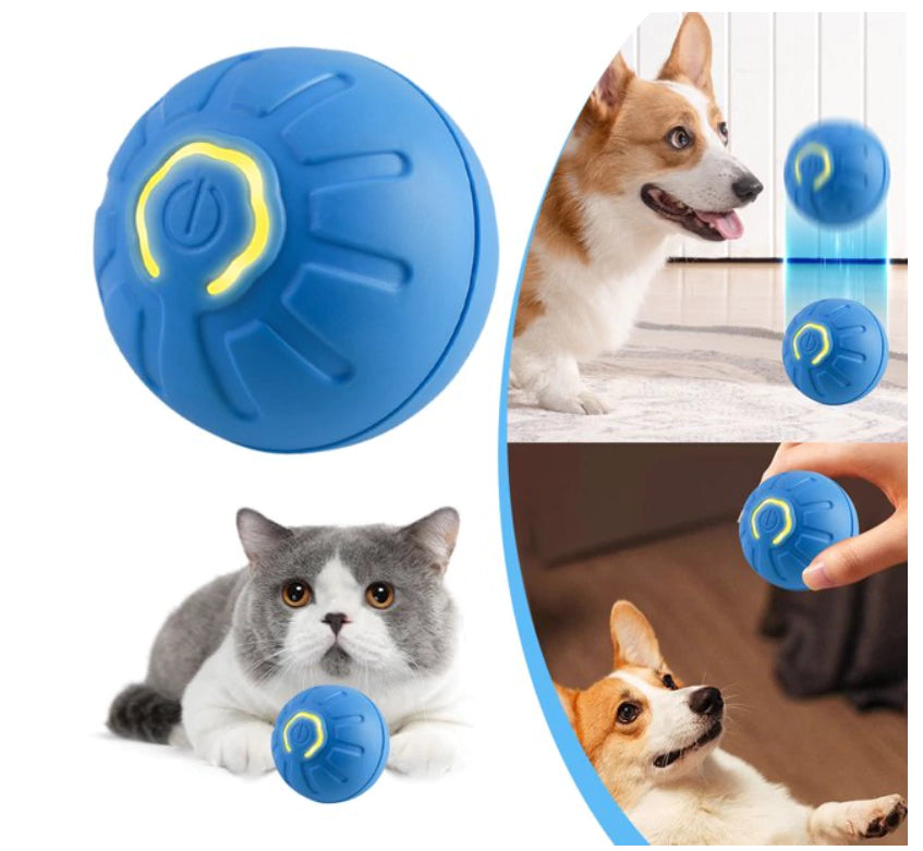 Pelota interactiva recargable para perros y gatos
